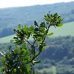 Julkin Dvor 3* Krupina