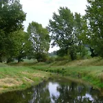 Julkin Dvor