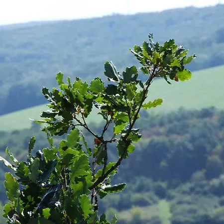 Julkin Dvor 3* Korpona