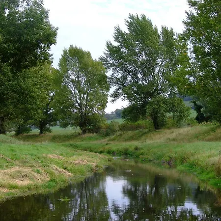 Julkin Dvor