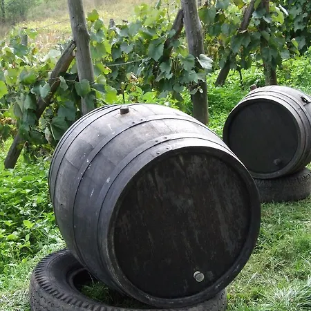 Julkin Dvor Krupina